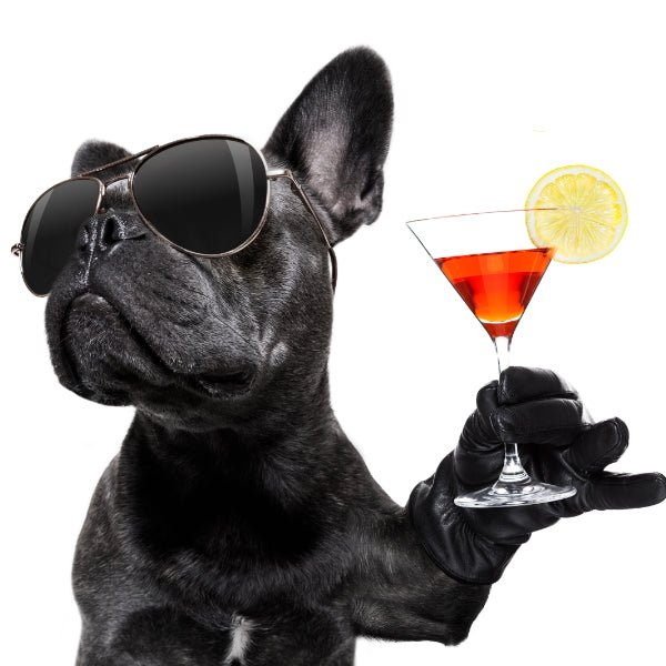 Geschenkgutschein "Dog" von Hinreissend.ch - Hinreissend