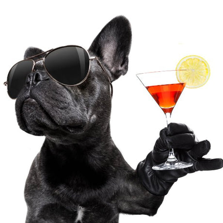 Geschenkgutschein "Dog" von Hinreissend.ch - Hinreissend