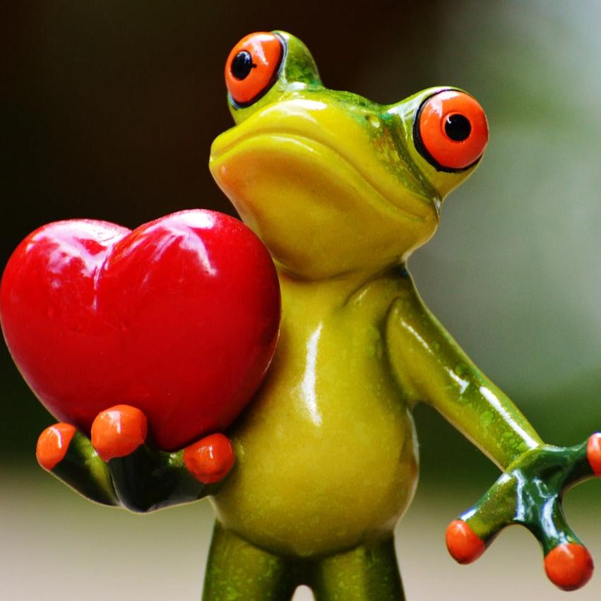 Geschenkgutschein "Frog" - Hinreissend