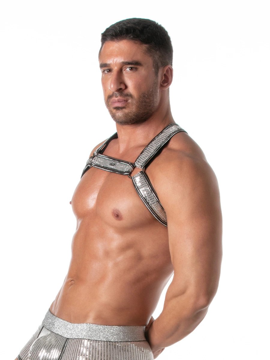 Glitter Bulldog Harness Silber – TOF Paris - Hinreissend