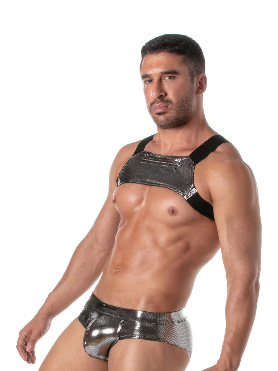 Reissverschlusstasche Silber mit Harness – TOF Paris - Hinreissend