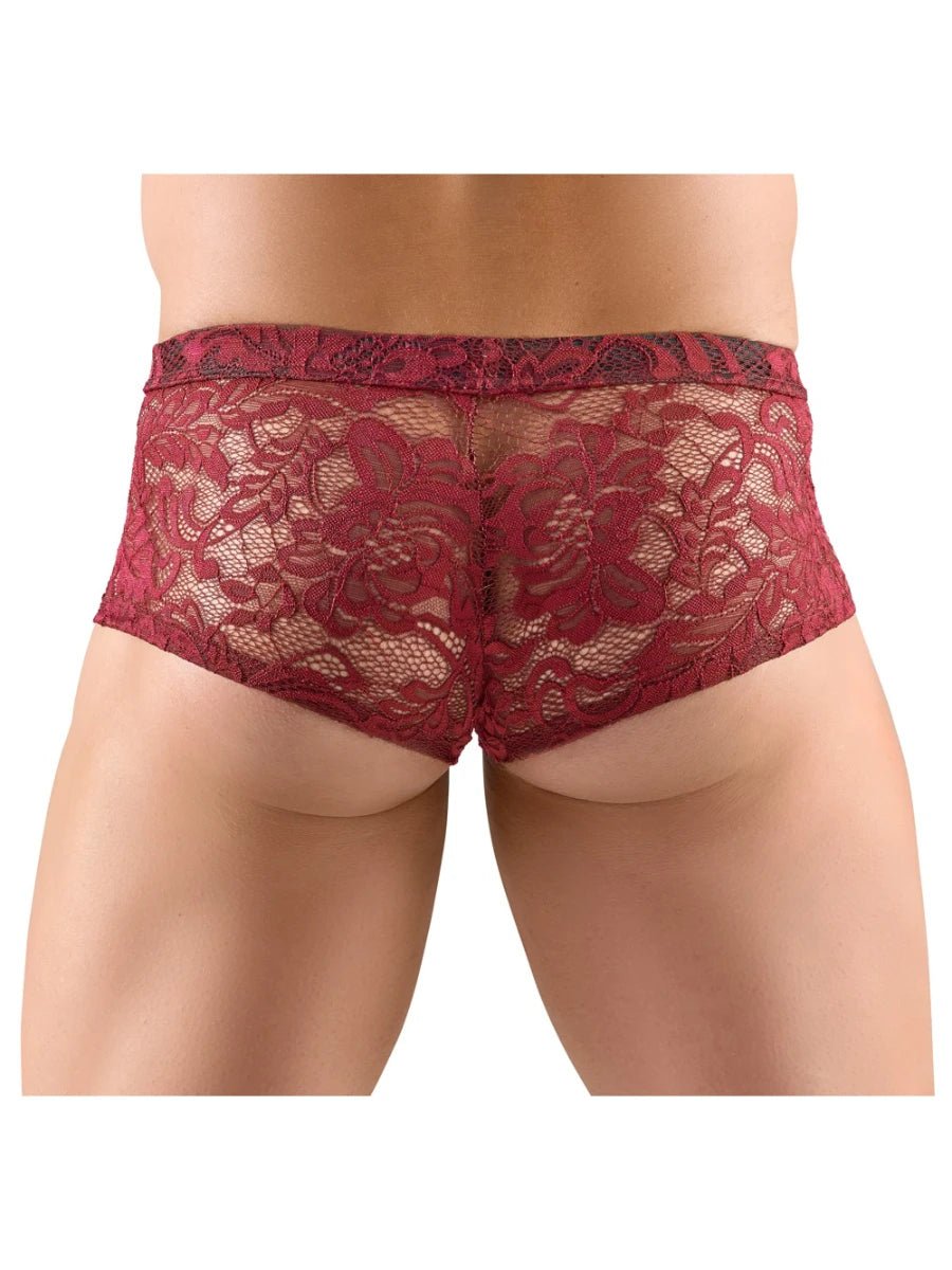 Transparente Spitzen - Pants dunkelrot – Svenjoyment - Hinreissend