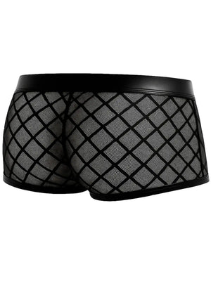 Netz Trunk R4VAGE by C4M – grafische Transparenz