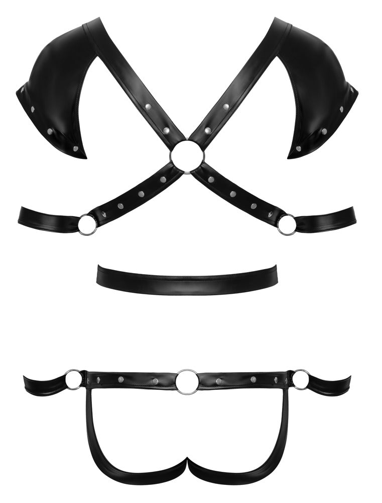 Body in Harness - Optik inkl. 4 Fesseln | Sevenjoyment BONDAGE - Hinreissend