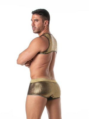 Glitter Harness mit Reissverschluss Gold – TOF Paris - Hinreissend