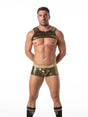 Glitter Harness mit Reissverschluss Gold – TOF Paris - Hinreissend