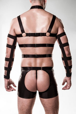 Grey Velvet MEN Harness - Set - Setze ein Statement - Hinreissend