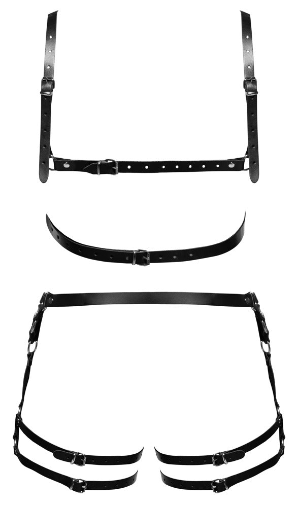 Harness - Set aus Leder | ZADO - Hinreissend