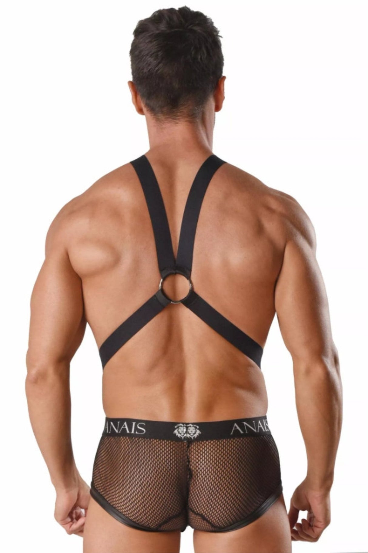 Herren - Body - Harness 054977 - Anais for Men - Hinreissend