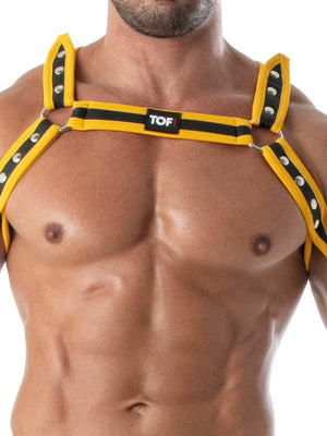neopren-harness-herren-d-ringe-tof-paris gelb