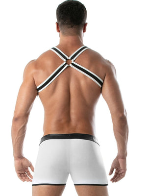 neopren-harness-herren-d-ringe-tof-paris hinten