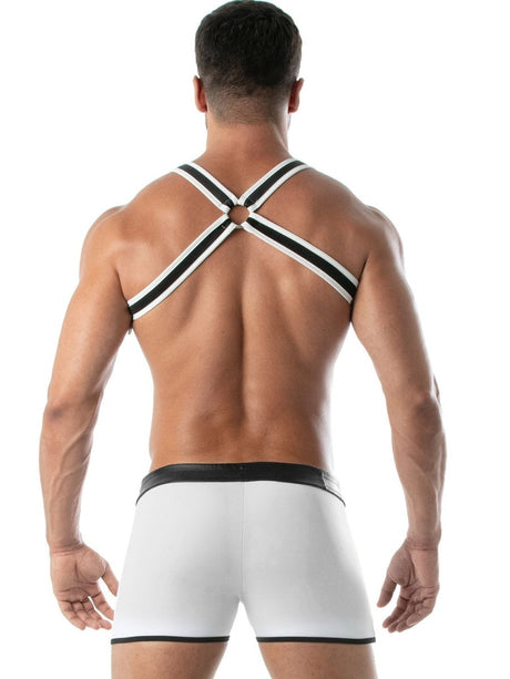 neopren-harness-herren-d-ringe-tof-paris hinten