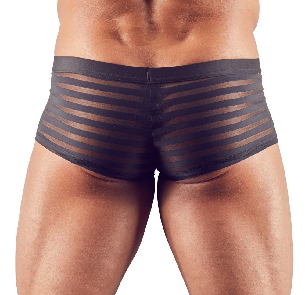 Pant mit semitransparenterm Streifen - Look - Hinreissend