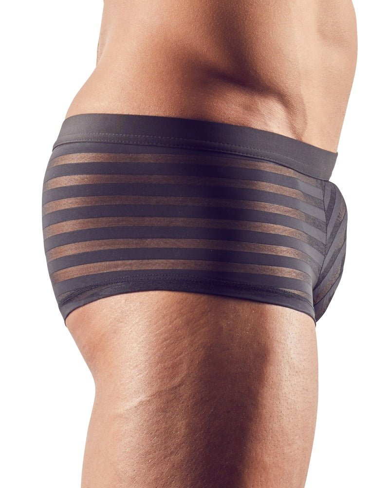 Pant mit semitransparenterm Streifen - Look - Hinreissend