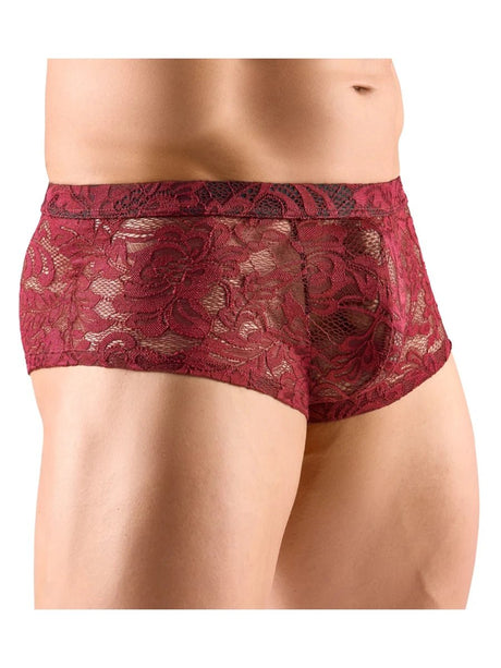 Transparente Spitzen - Pants dunkelrot – Svenjoyment - Hinreissend