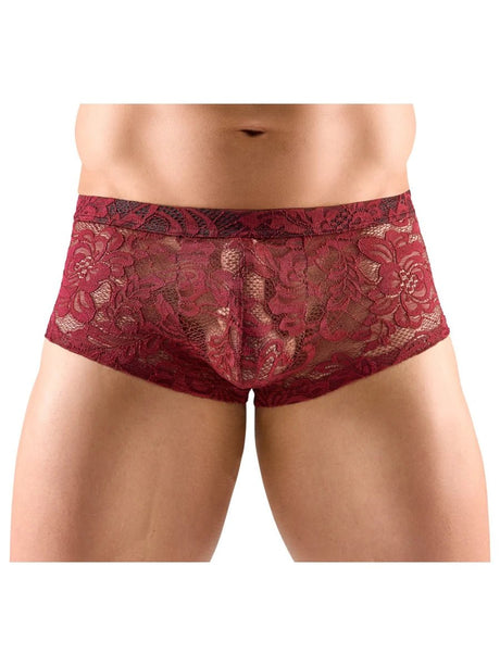 Transparente Spitzen - Pants dunkelrot – Svenjoyment - Hinreissend